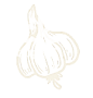 garlic illustration