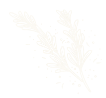 rosemary illustration