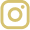vector instagram